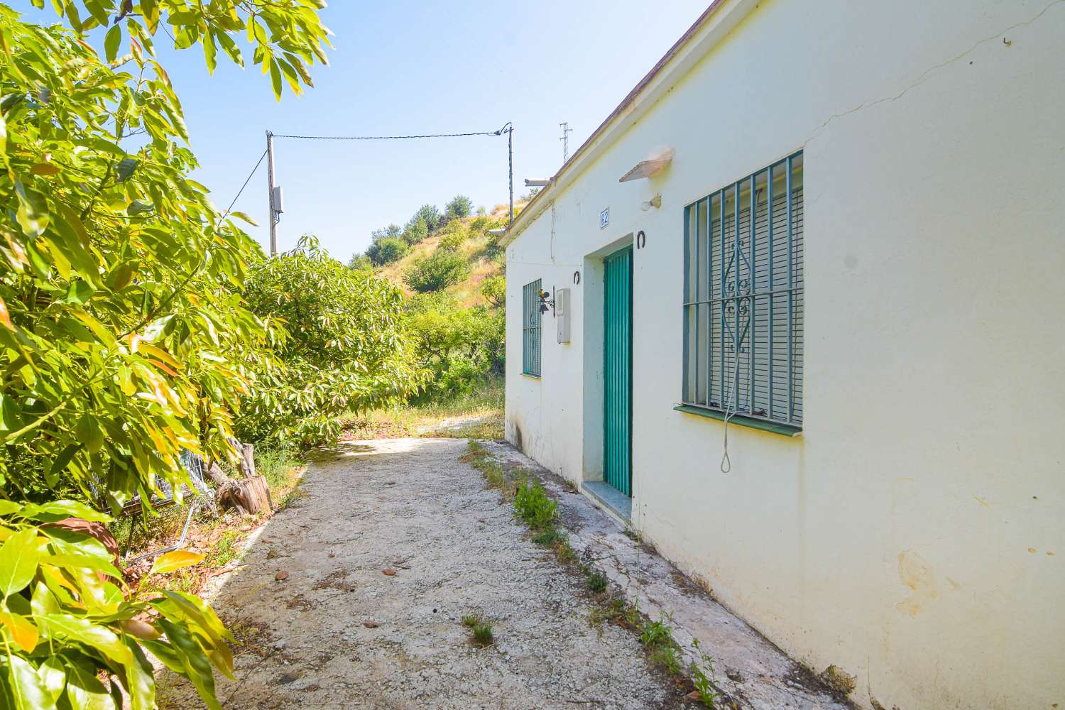 Finca de aguacates con cortijo a la venta en la zona del cañuelo