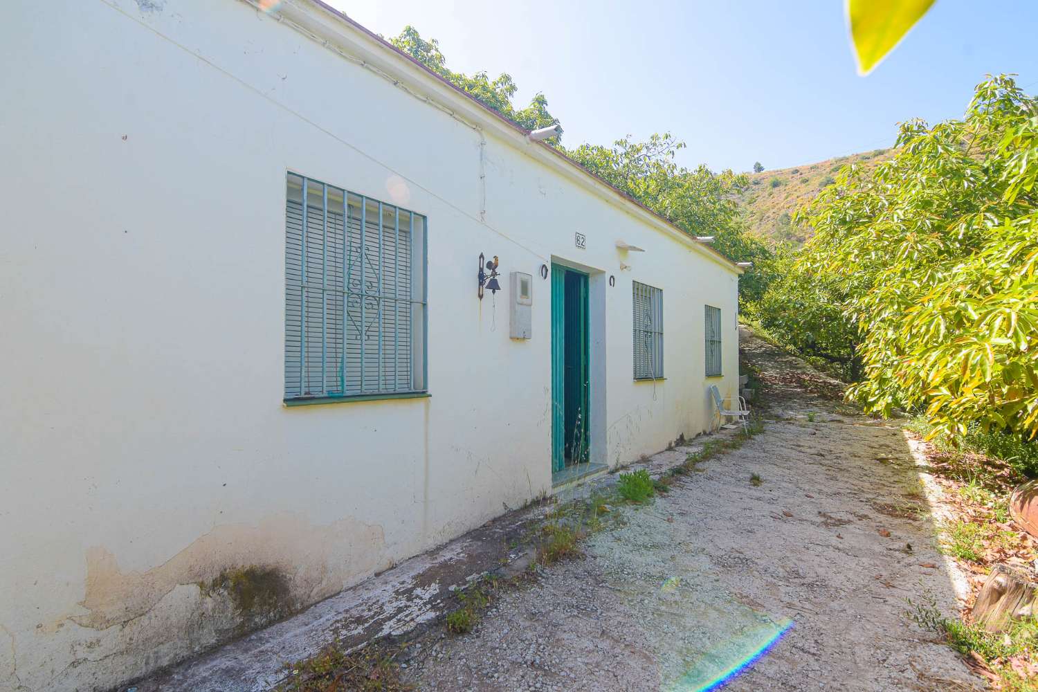 Finca de aguacates con cortijo a la venta en la zona del cañuelo