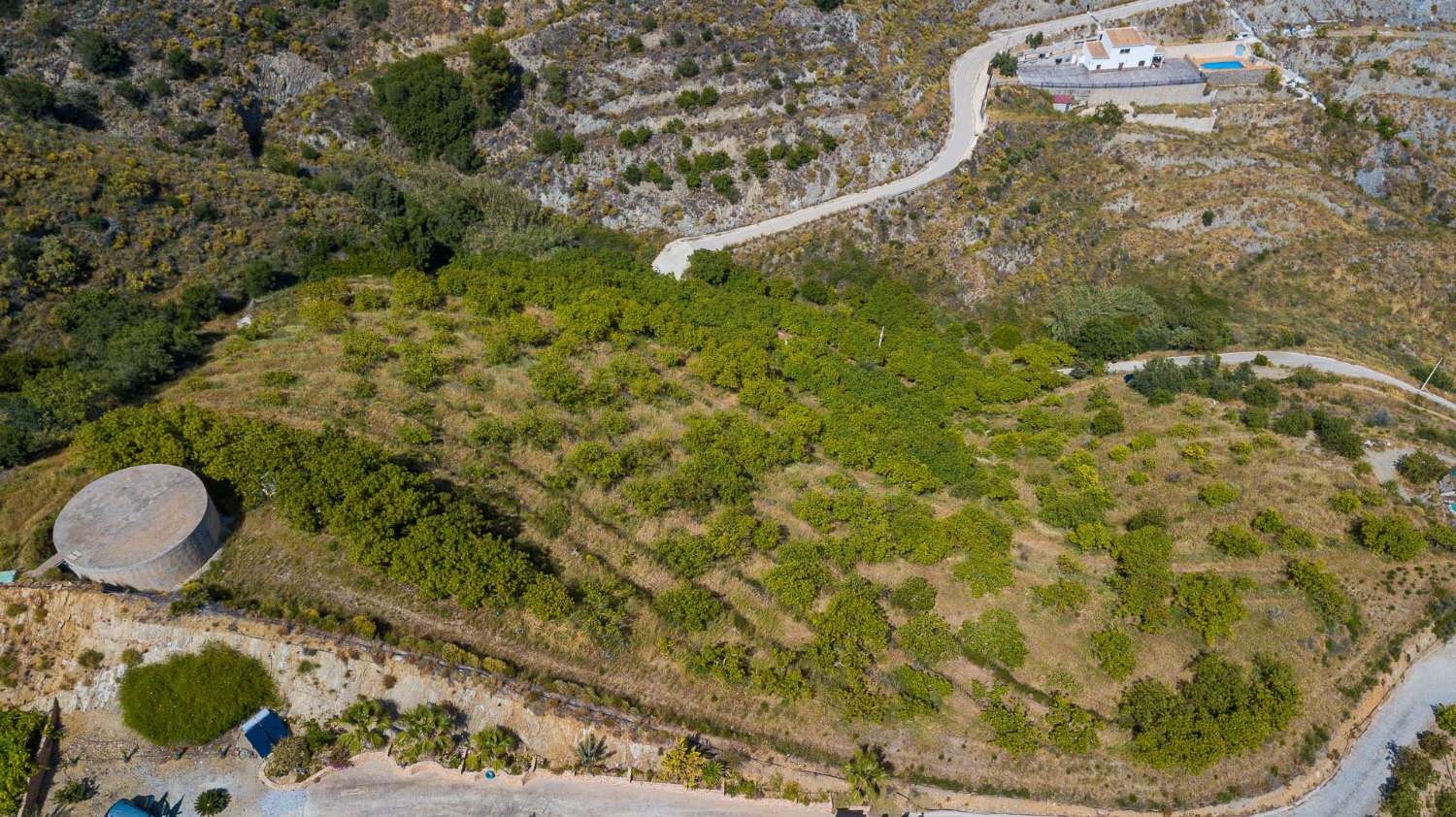 Finca de aguacates con cortijo a la venta en la zona del cañuelo