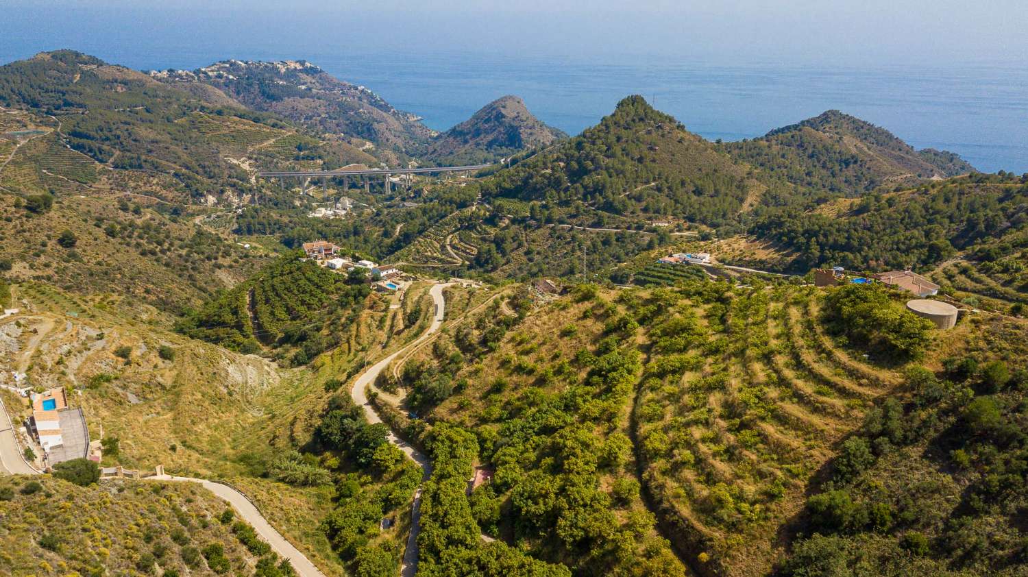 Finca de aguacates con cortijo a la venta en la zona del cañuelo